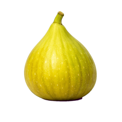 Aydın İnciri
