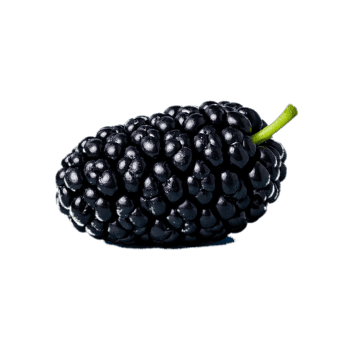 Karadut