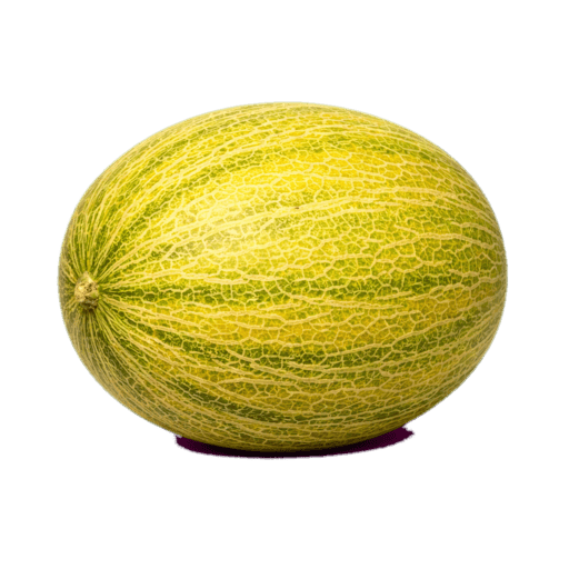 Kavun