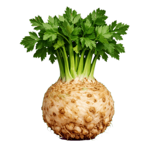 Kereviz