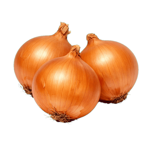 Kuru Soğan