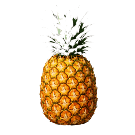 Kosta Rika Ananas