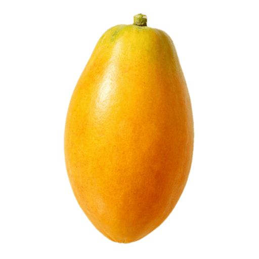 Papaya