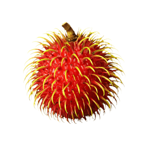 Rambutan
